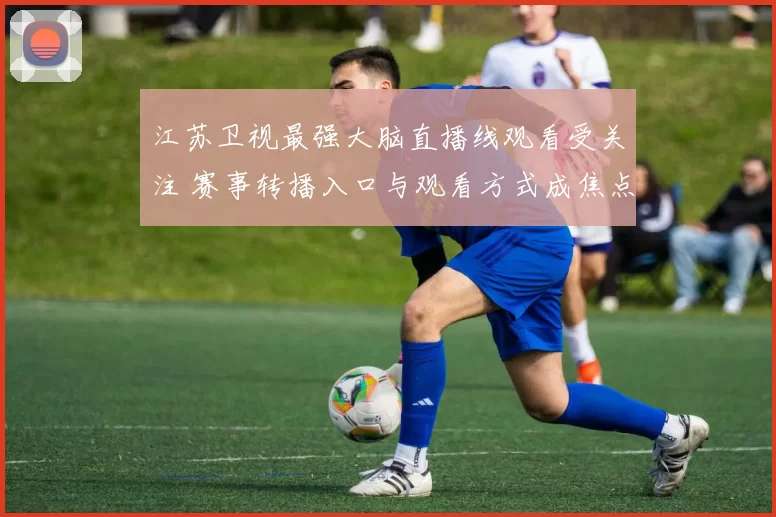江苏卫视最强大脑直播线观看受关注 赛事转播入口与观看方式成焦点
