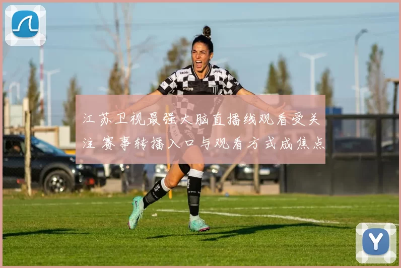 江苏卫视最强大脑直播线观看受关注 赛事转播入口与观看方式成焦点